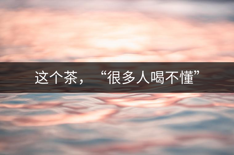 這個(gè)茶，“很多人喝不懂”