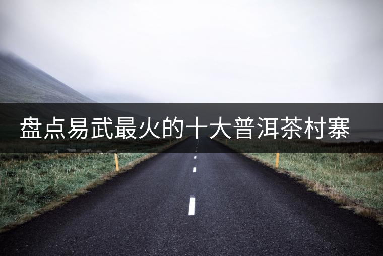 盤點易武最火的十大普洱茶村寨（排名不分先后）