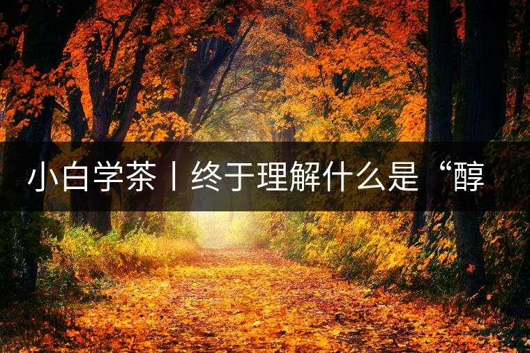 小白學(xué)茶丨終于理解什么是“醇厚、耐泡，回甘”了