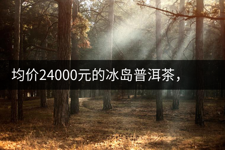 均價(jià)24000元的冰島普洱茶，不是誰(shuí)都喝的出的涼感