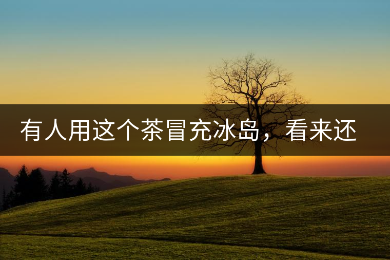 有人用這個(gè)茶冒充冰島，看來(lái)還是有幾分道理