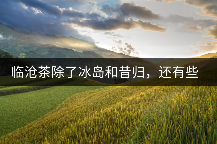 臨滄茶除了冰島和昔歸，還有些什么？