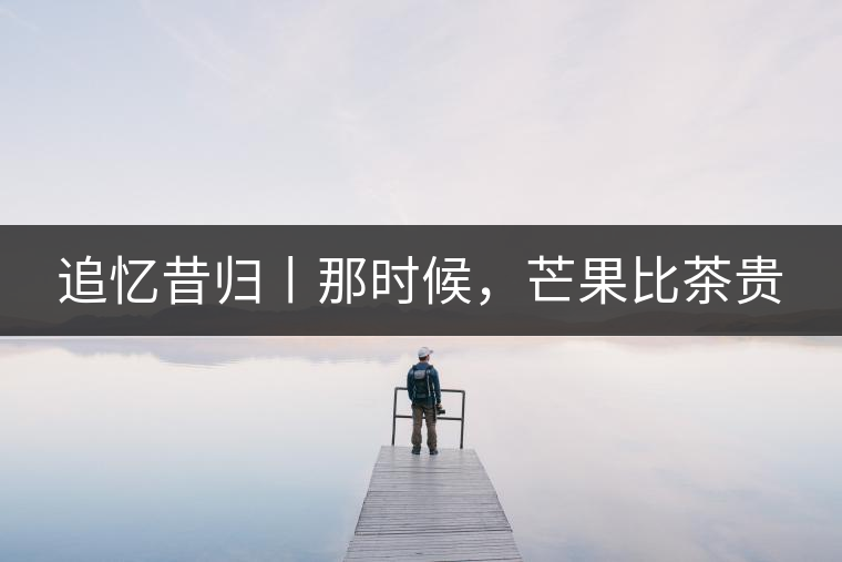 追憶昔歸丨那時(shí)候，芒果比茶貴