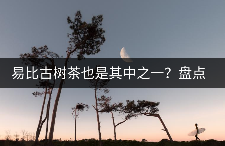 易比古樹茶也是其中之一？盤點當下易武最火的十大古樹茶！