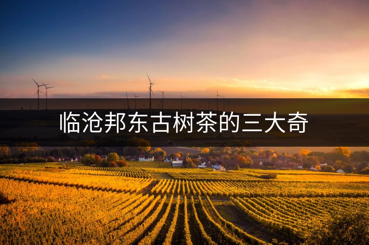 臨滄邦東古樹(shù)茶的三大奇