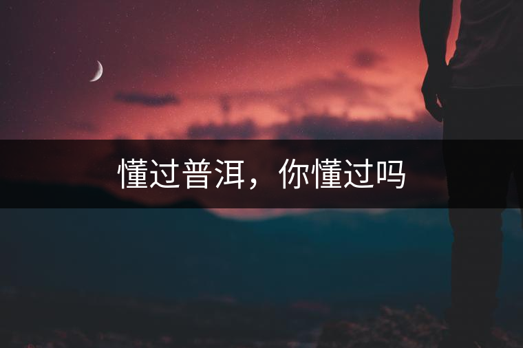 懂過(guò)普洱，你懂過(guò)嗎