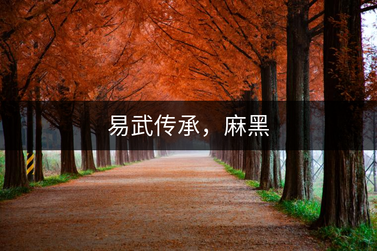 易武傳承，麻黑