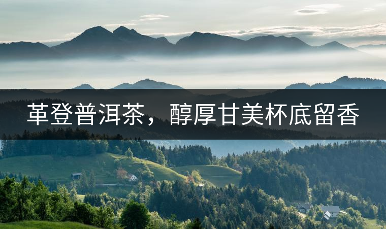 革登普洱茶，醇厚甘美杯底留香