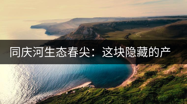 同慶河生態(tài)春尖：這塊隱藏的產(chǎn)茶圣地，你知道嗎？