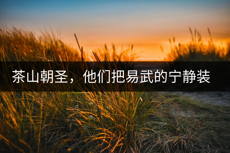 茶山朝圣，他們把易武的寧靜裝進心里，卻把成堆垃圾留在