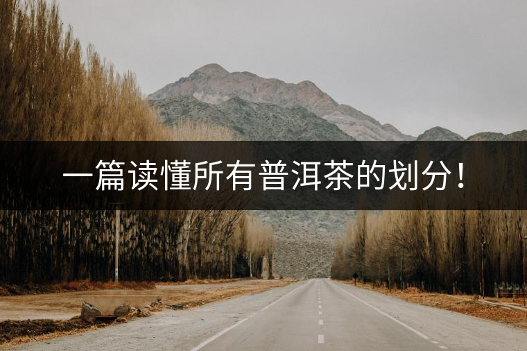 一篇讀懂所有普洱茶的劃分！