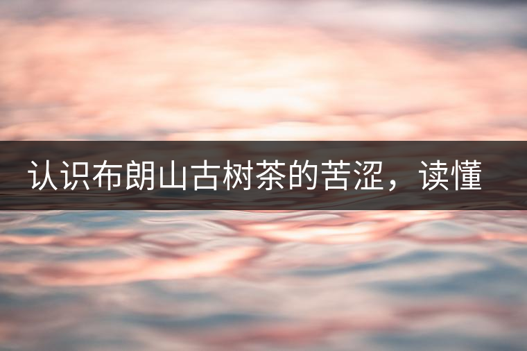 認(rèn)識布朗山古樹茶的苦澀，讀懂勐海普洱茶