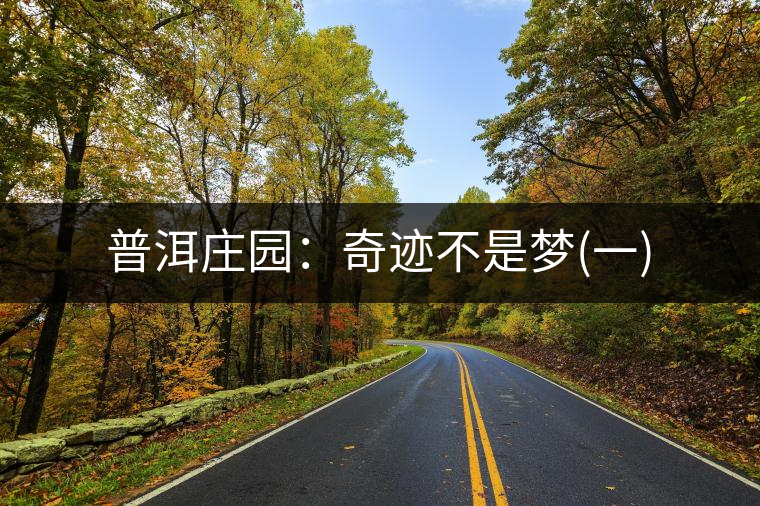 普洱莊園：奇跡不是夢(mèng)(一)