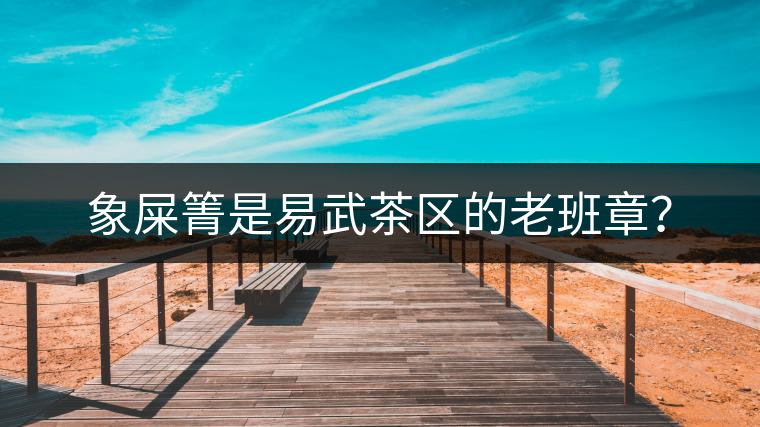 象屎箐是易武茶區(qū)的老班章？