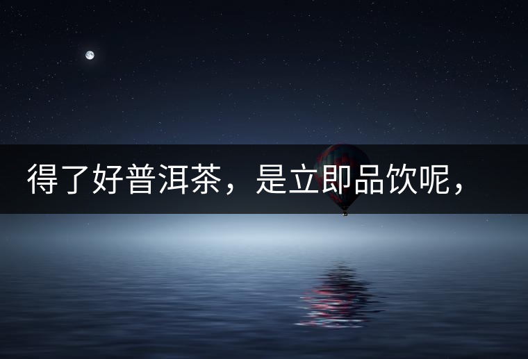 得了好普洱茶，是立即品飲呢，還是收藏？