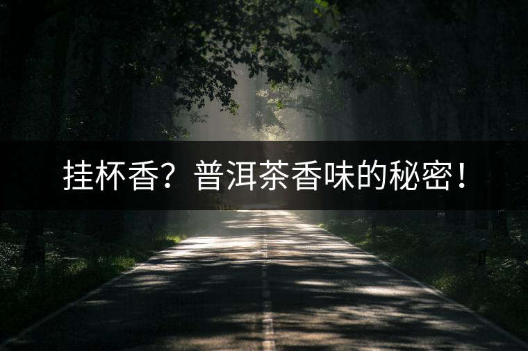 掛杯香？普洱茶香味的秘密！