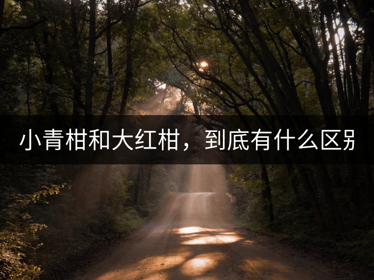 小青柑和大紅柑，到底有什么區(qū)別？