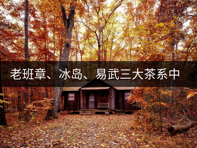 老班章、冰島、易武三大茶系中，“潛力股”為何是易武？