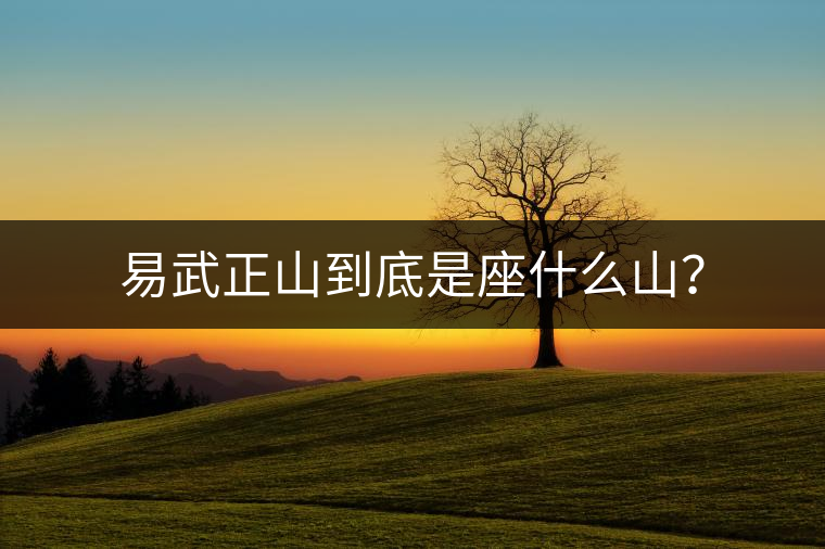 易武正山到底是座什么山？