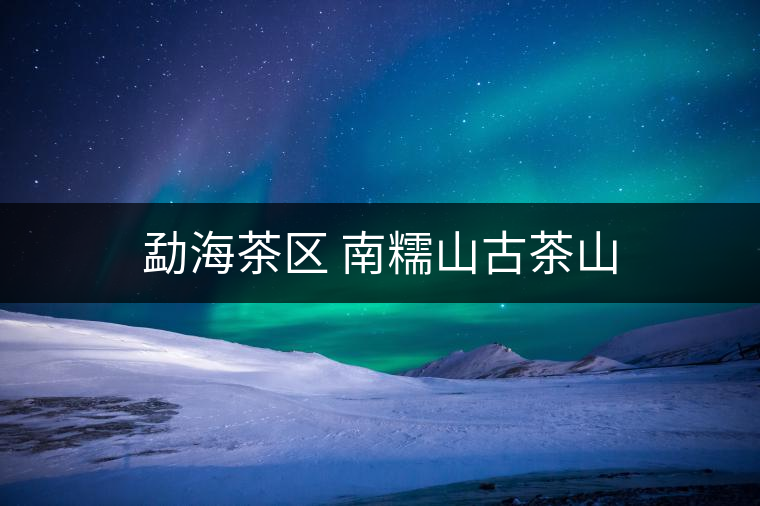 勐海茶區(qū) 南糯山古茶山 勐海茶區(qū) 南糯山古茶山