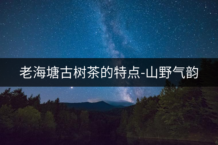 老海塘古樹茶的特點-山野氣韻