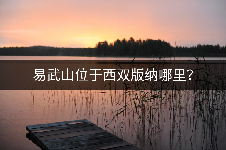 易武山位于西雙版納哪里？