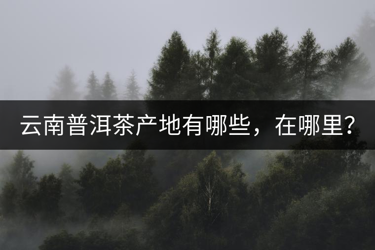 云南普洱茶產(chǎn)地有哪些，在哪里？