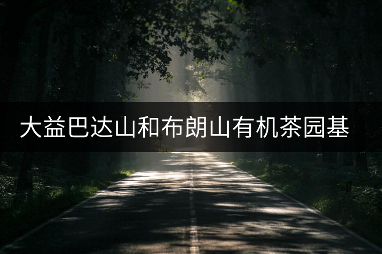 大益巴達(dá)山和布朗山有機(jī)茶園基地 大益巴達(dá)山和布朗山有機(jī)茶園基地