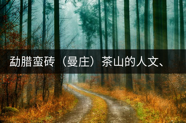 勐臘蠻磚（曼莊）茶山的人文、生態(tài)