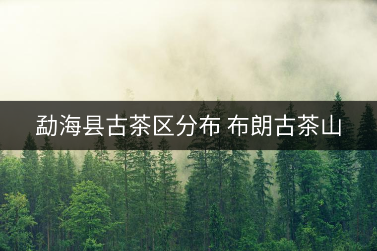 勐?？h古茶區(qū)分布 布朗古茶山