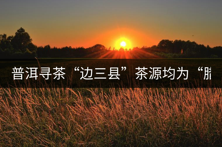 普洱尋茶“邊三縣”茶源均為“臘” 普洱尋茶“邊三縣”茶源均為“臘”