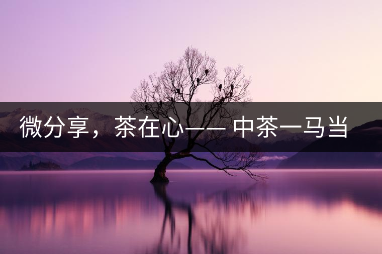 微分享，茶在心—— 中茶一馬當(dāng)先