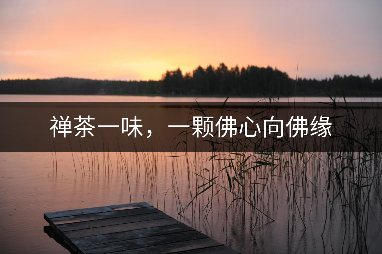 禪茶一味，一顆佛心向佛緣