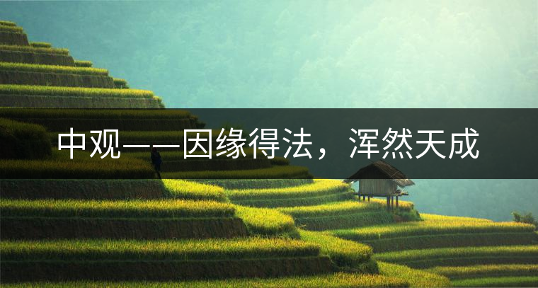 中觀——因緣得法，渾然天成