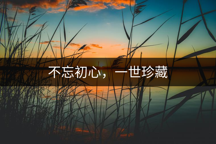 不忘初心，一世珍藏