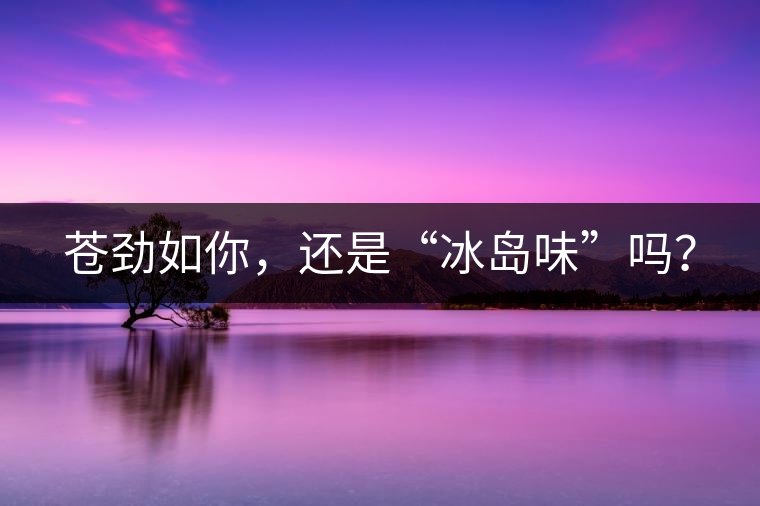 蒼勁如你，還是“冰島味”嗎？