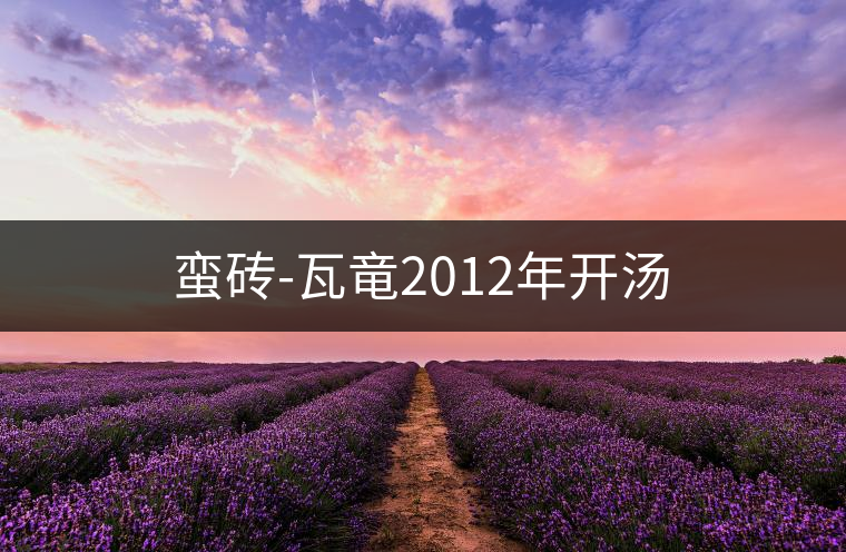 蠻磚-瓦竜2012年開湯 蠻磚-瓦竜2012年開湯