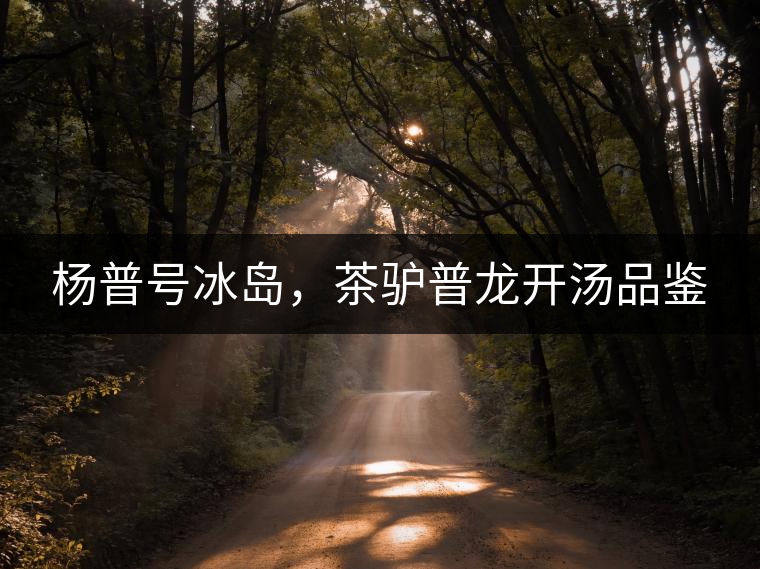 楊普號(hào)冰島，茶驢普龍開湯品鑒