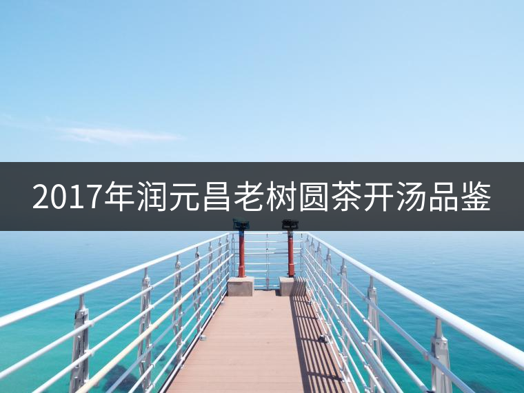 2017年潤(rùn)元昌老樹圓茶開湯品鑒 2017年潤(rùn)元昌老樹圓茶開湯品鑒