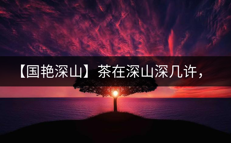 【國艷深山】茶在深山深幾許，布朗味釅釅幾分！