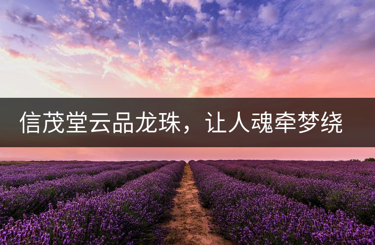 信茂堂云品龍珠，讓人魂?duì)繅?mèng)繞的尤物