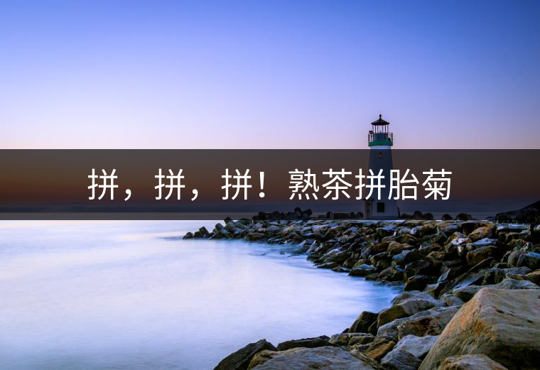 拼，拼，拼！熟茶拼胎菊