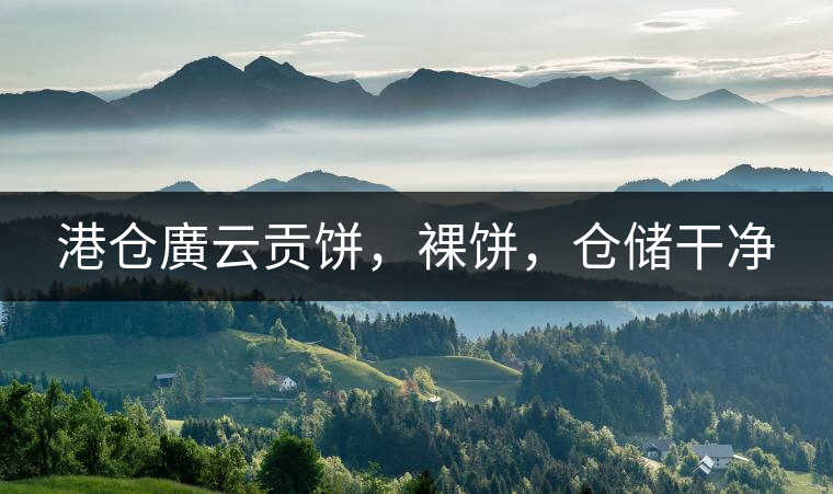 港倉廣云貢餅，裸餅，倉儲干凈