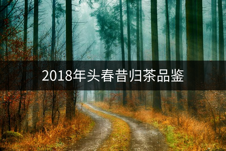 2018年頭春昔歸茶品鑒