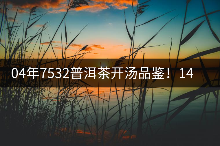 04年7532普洱茶開湯品鑒！14年轉(zhuǎn)化，經(jīng)典雪印配方！