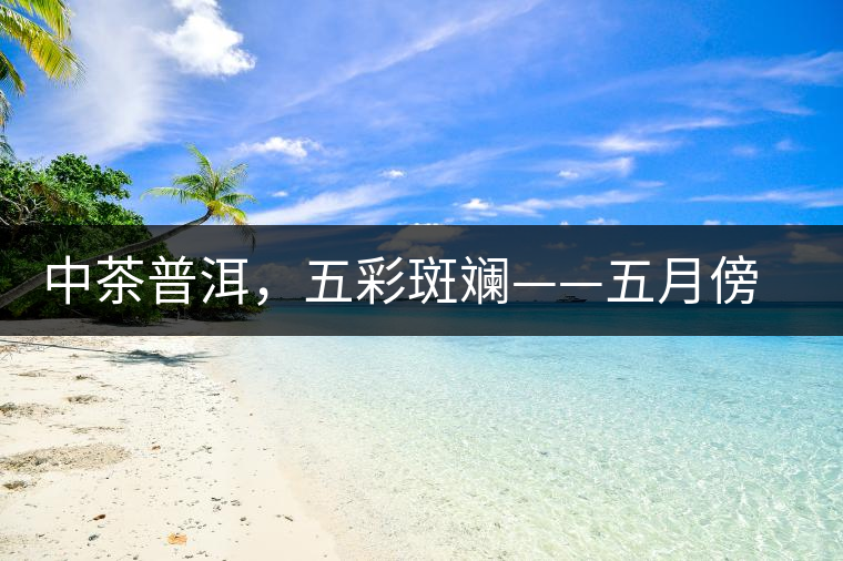 中茶普洱，五彩斑斕——五月傍晚，一道茶