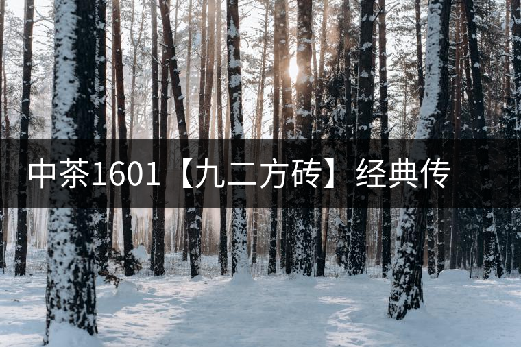 中茶1601【九二方磚】經(jīng)典傳承，巔峰即現(xiàn)