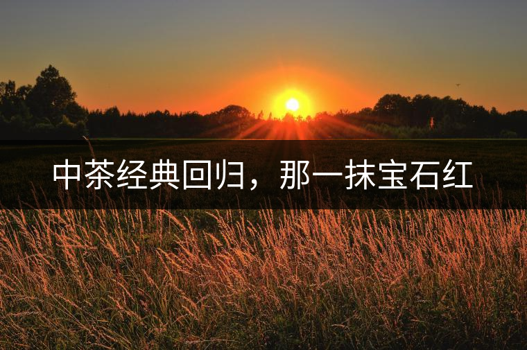 中茶經(jīng)典回歸，那一抹寶石紅