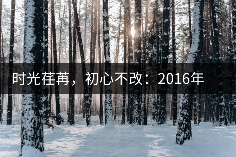 時(shí)光荏苒，初心不改：2016年老同志為天下人做好茶開湯