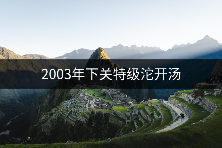 2003年下關(guān)特級(jí)沱開(kāi)湯 2003年下關(guān)特級(jí)沱開(kāi)湯